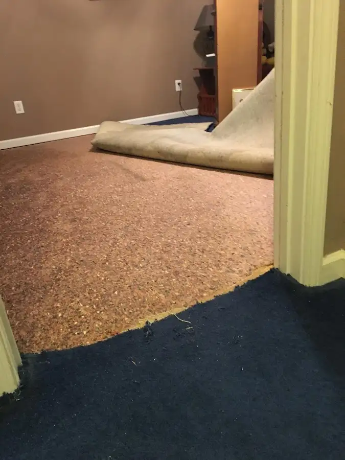 Carpet pad removal revealing water damage during Water Mitigation Services in Daleville