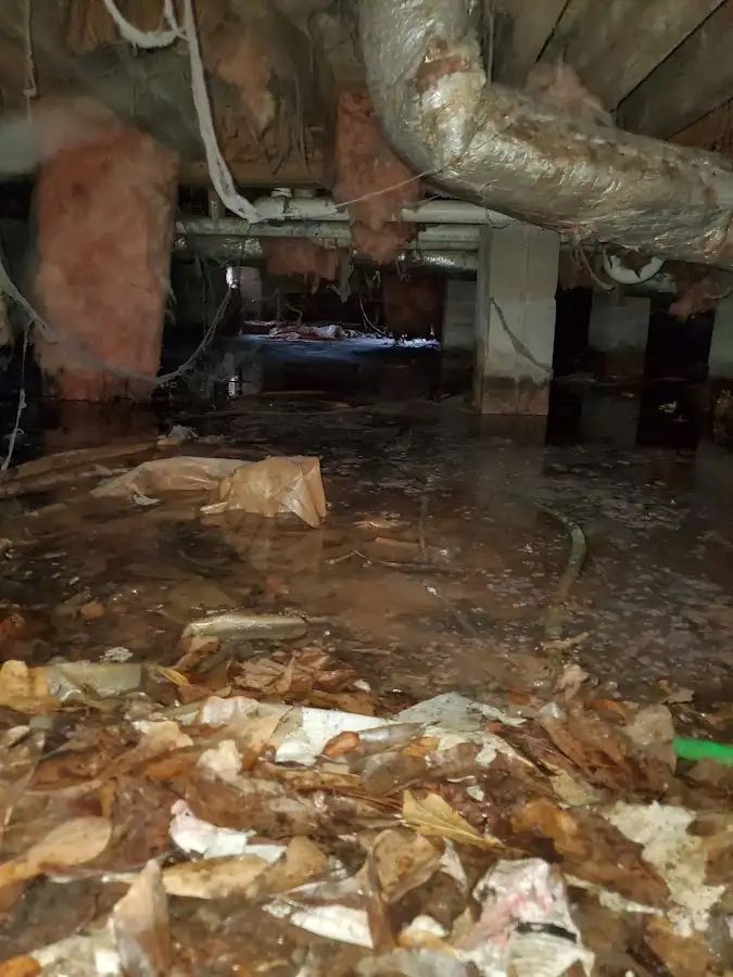 Crawl space flood assessment for Leak Detection & Repair in Daleville